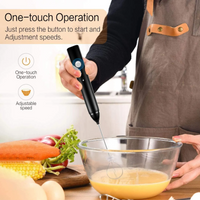Milk Frother USB Speed Adjustable Milk Frother / 3 Speed / Rachargeable