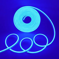 Neon LED Strip Light 5 Meter Waterproof Narrow Lamp Neon Sign Light 2835