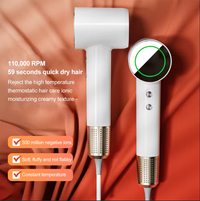 White Leafless Hair Dryer with Strong Airflow, Quick Drying and Low Noise Design