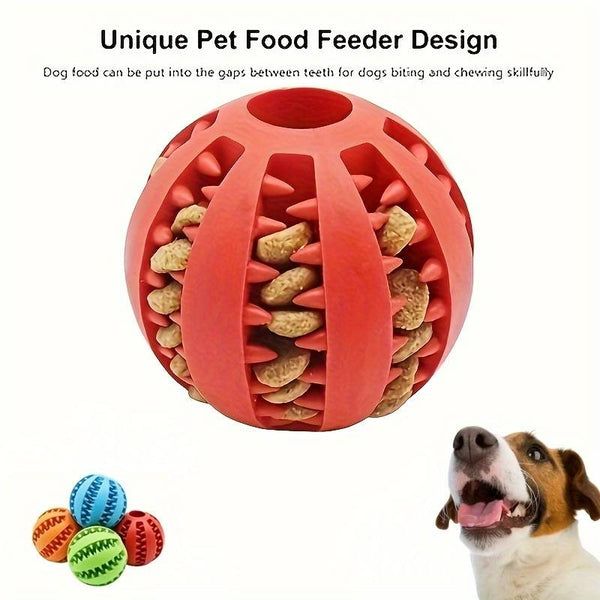 Pet Travel Play Bundle