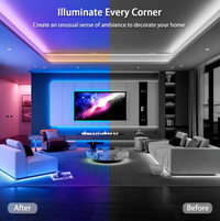 Lqhzmyy RGB Neon Light Strip with 24-Key Touchscreen Remote - USB-Powered