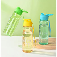 Pet Walk & Play Bundle